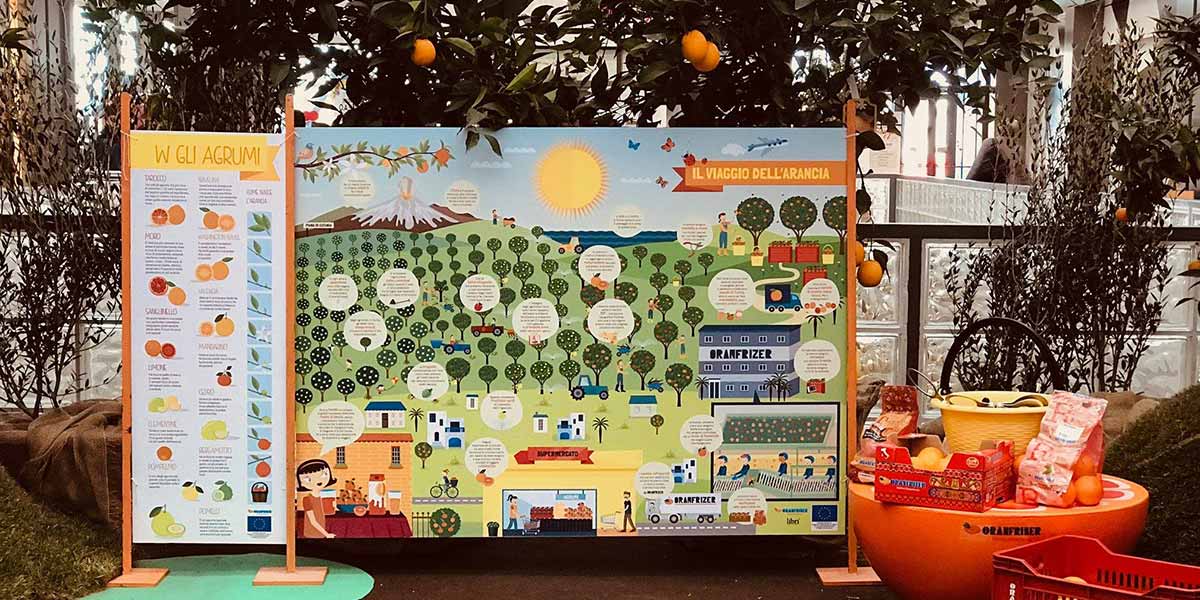 Si chiude con successo il progetto "Il Giardino delle Arance 2024"